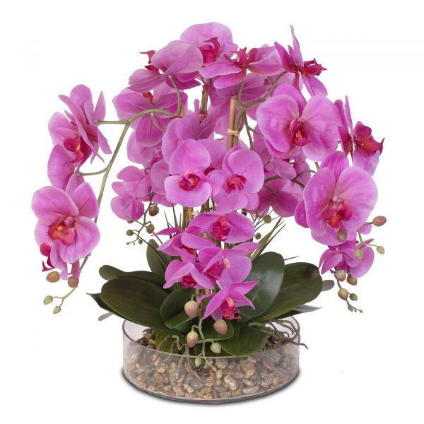 Orchidee In Vaso Di Vetro Consigli E Informazioni Utili Su Come